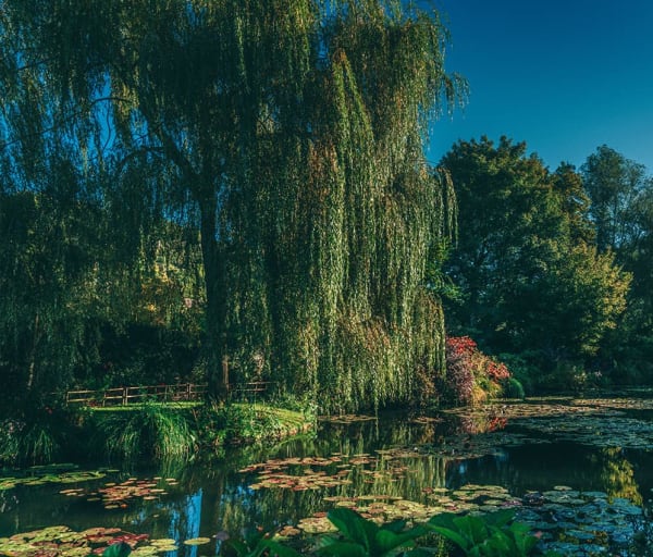 Franca giverny jardim lago arvores