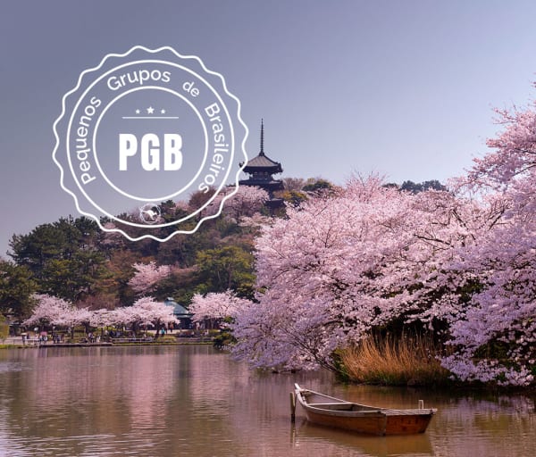 Japao cerejeira pgb barco