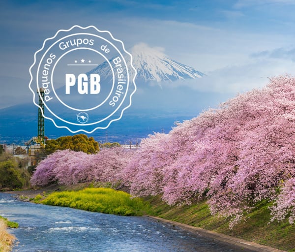 Japao cerejeira pgb