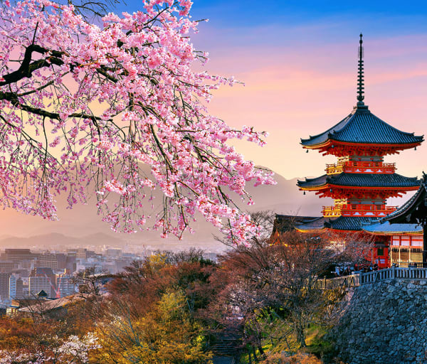 Japao pagode chureito cerejeiras