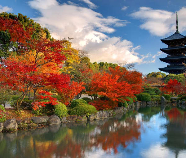 Templo To-ji, Nara, Japão