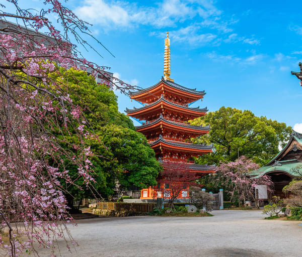 Tochoji shingon temple in hakata fukuoka japan