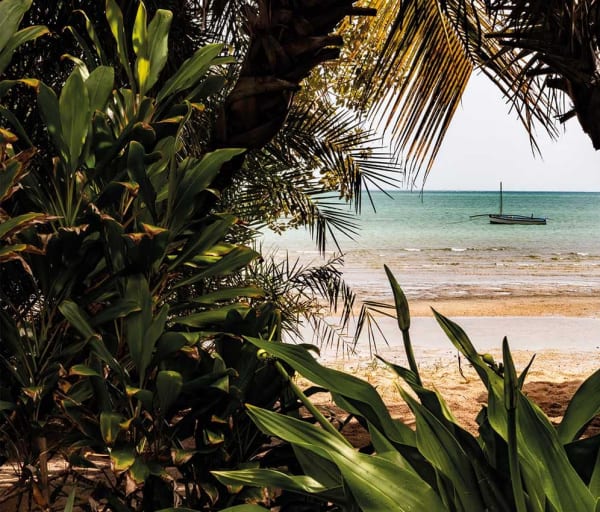 Benguerra mocambique