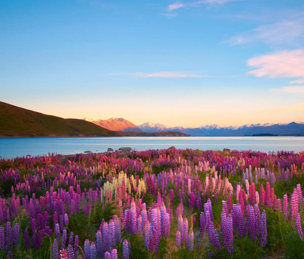 Lake Tekapo, na Nova Zelândia