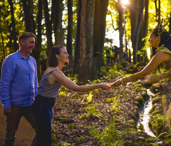 Nova zelandia rotorua bayofplenty floresta