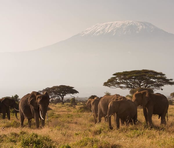 Monte Kilimanjaro, Quênia
