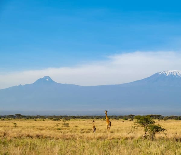 Quenia angama amboseli parque nacional