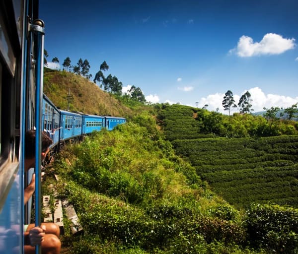 Atividades passeios trem Nuwara Eliya, Kandy
