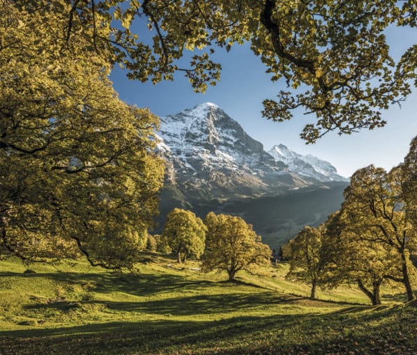 Grindelwald herbstbaeume