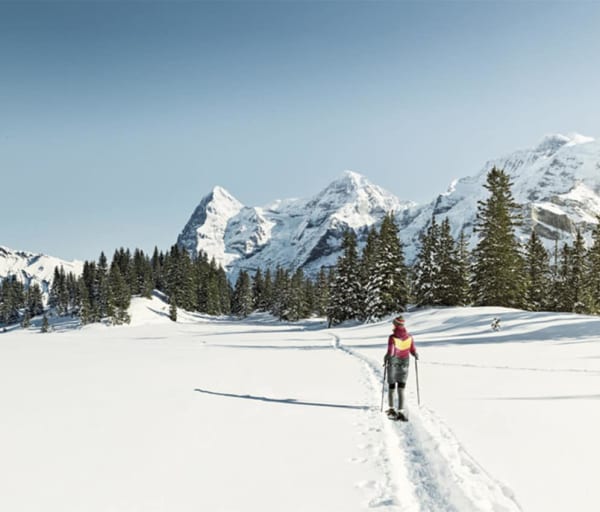 Grindelwald schneeschuhlaufen