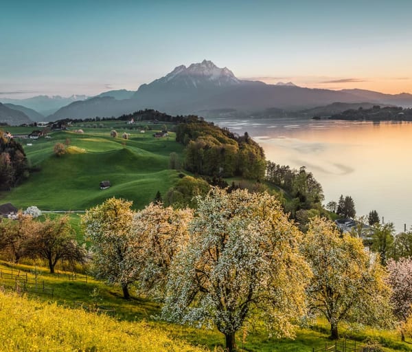 Switzerland tourism vista do lago lucerna andreas gerth