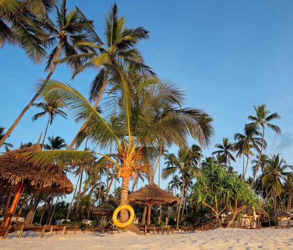 Praia Zanzibar Tanzânia