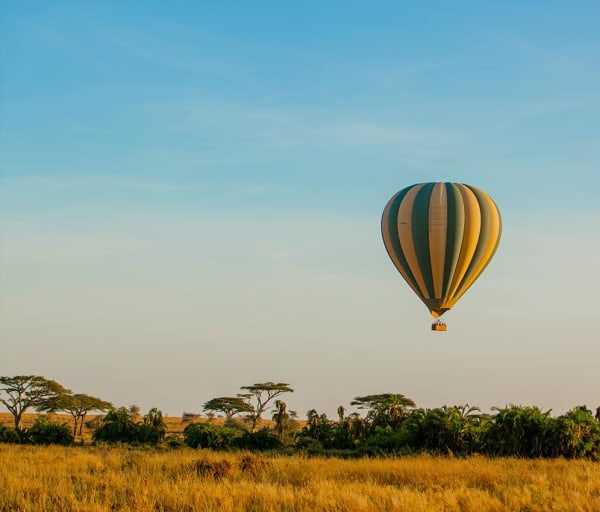 Tanzania nimali serengeti balao