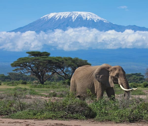 Tanzania