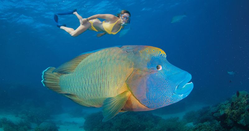 Australia_planejar-viagem_post