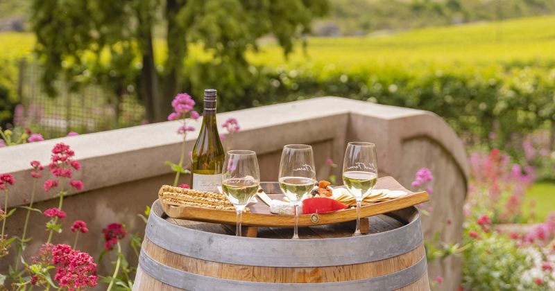 nova-zelandia-queenstown-chardfarm-vinho