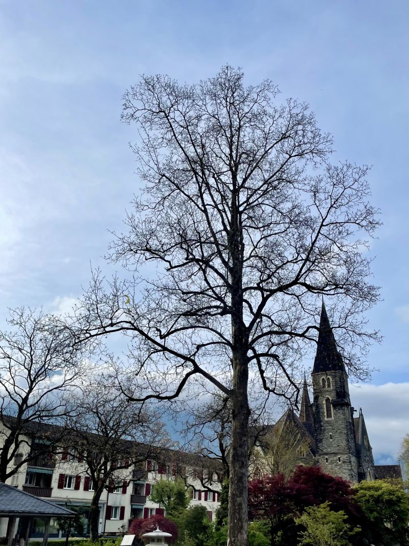 Interlaken