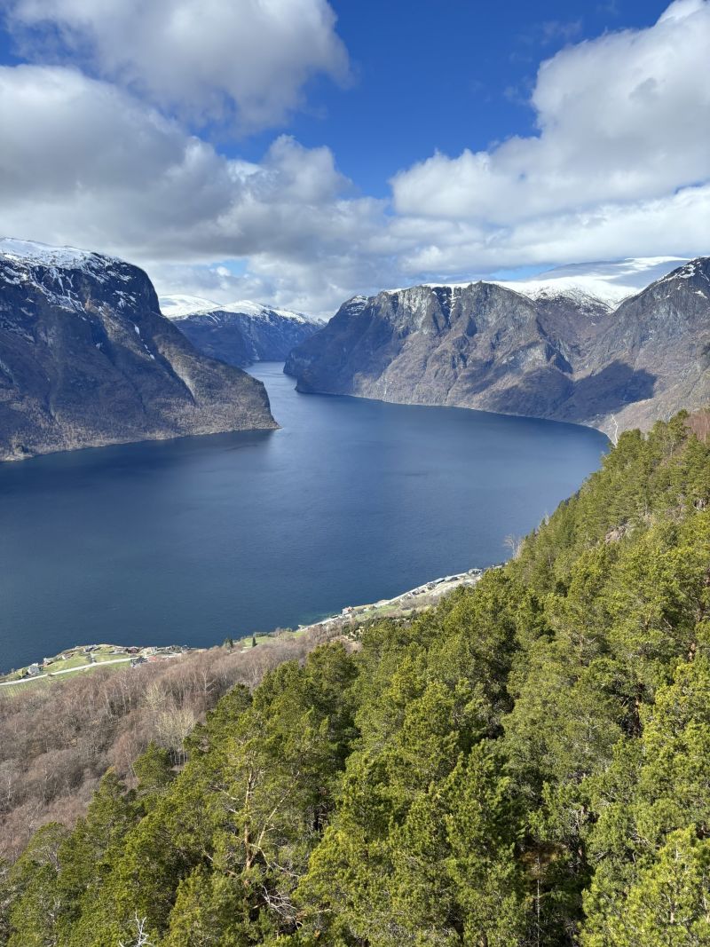 Stegastein