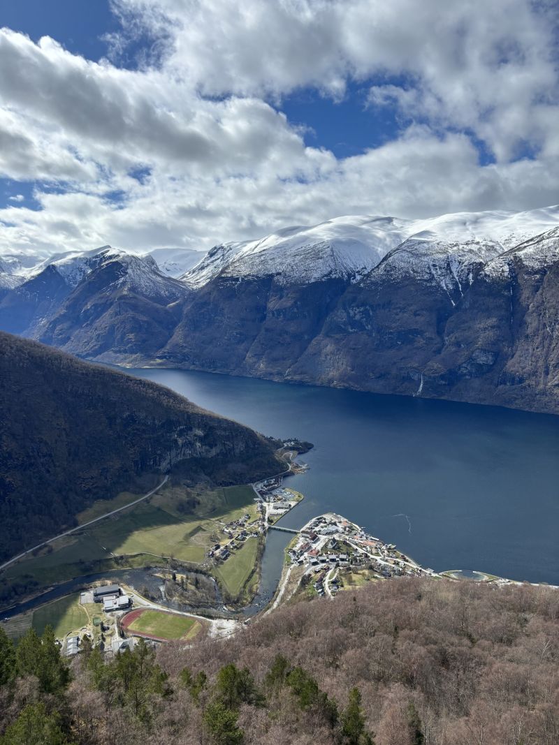 Stegastein