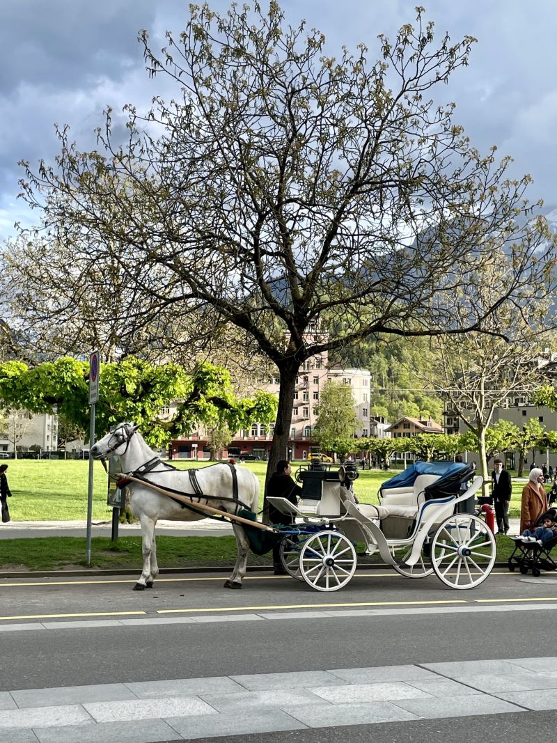 Interlaken