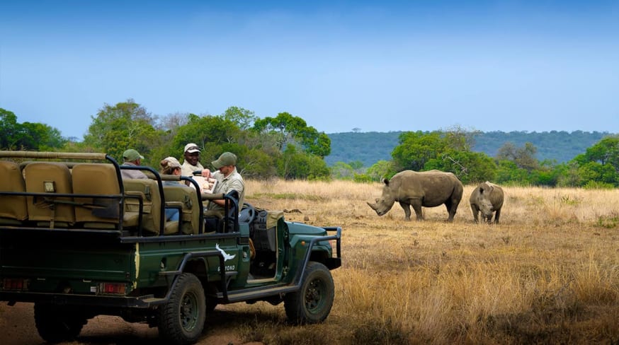 Africadosul reserva phinda andbeyond phindavleilodge rinoceronte
