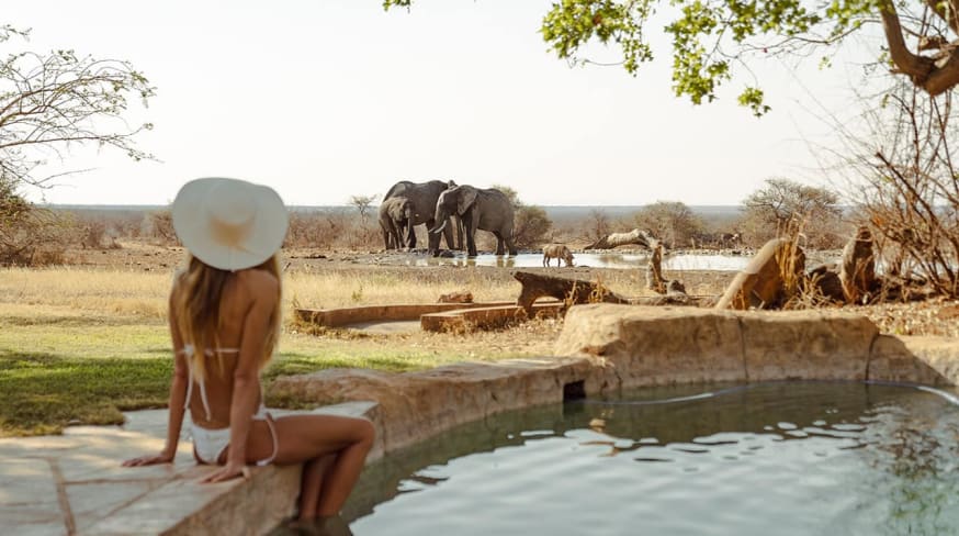 Last word madikwe piscina