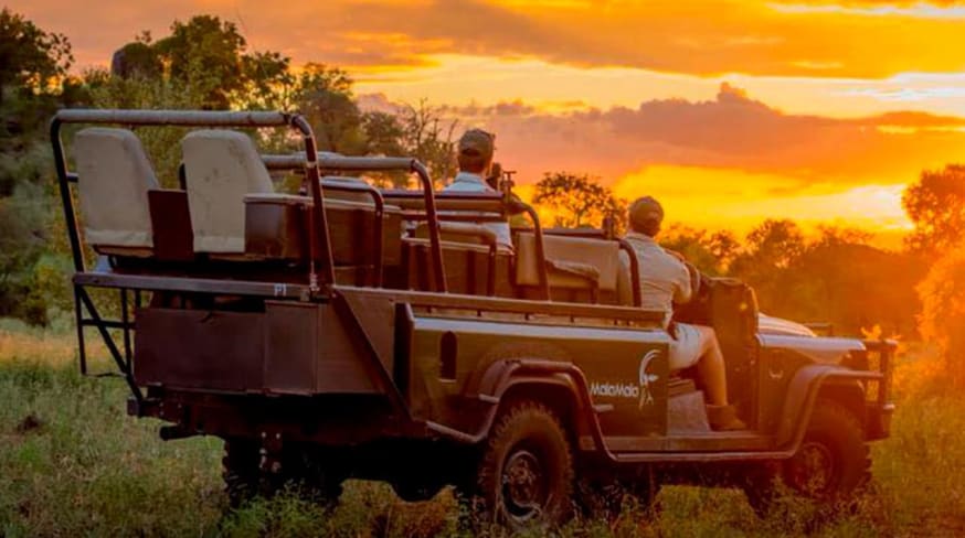 Malamala camp safari carro