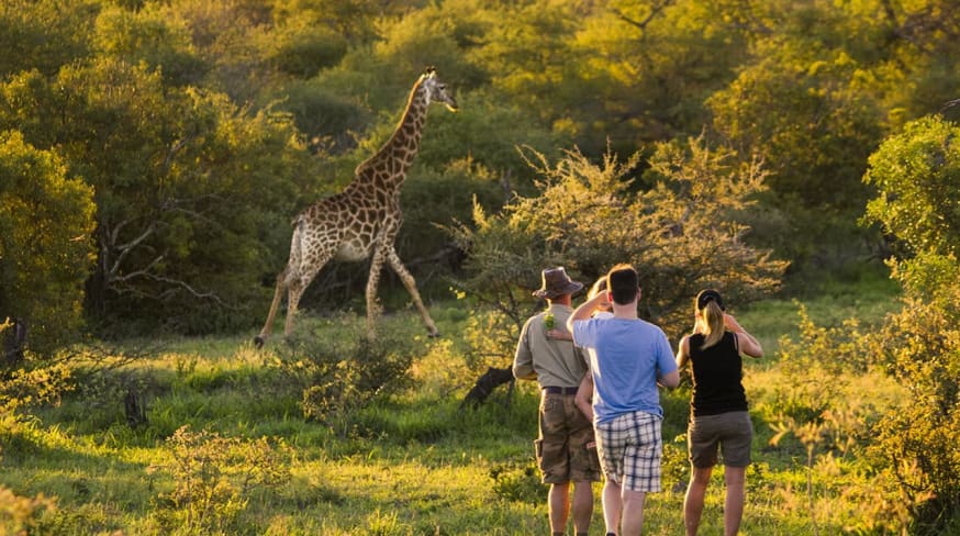 Safári na África do Sul