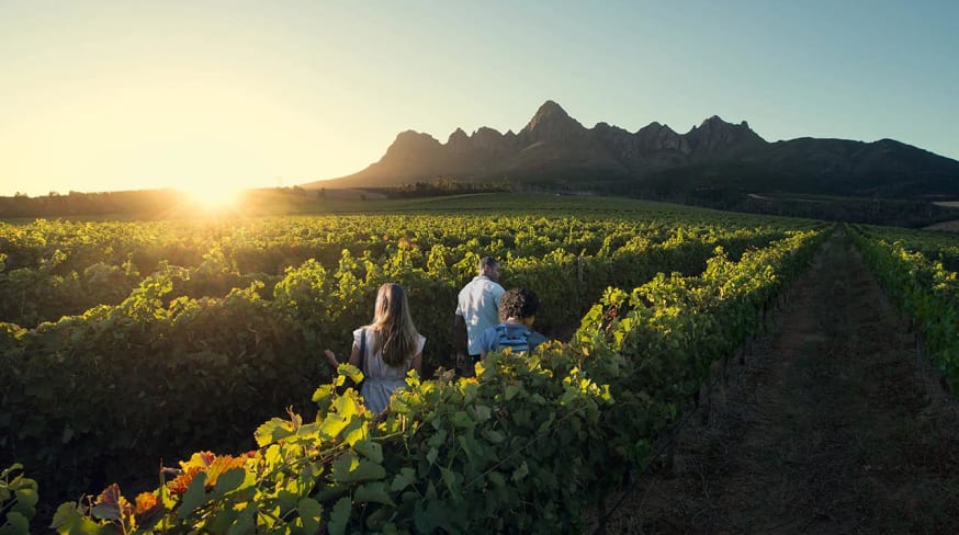 Vinícolas, África do Sul