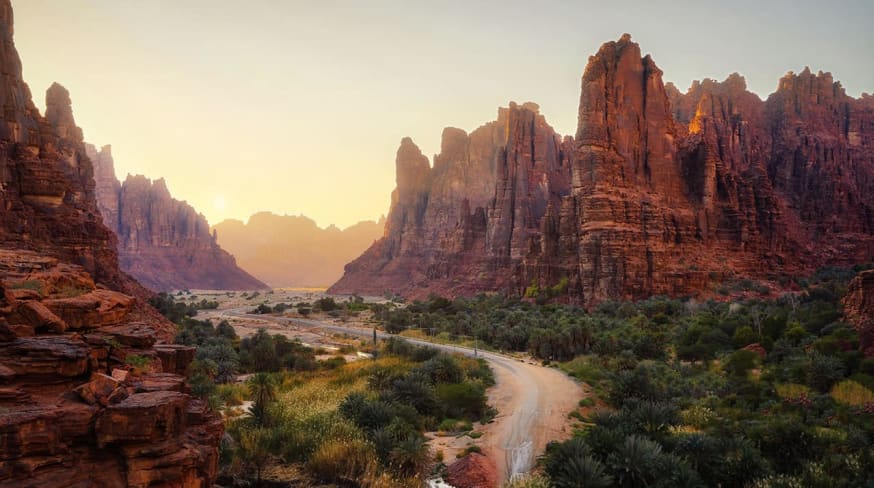 Arabia saudita c nion wadi al disah shutterstock