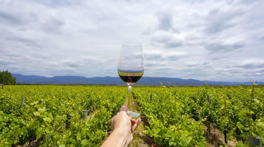 Argentina mendoza vinicola