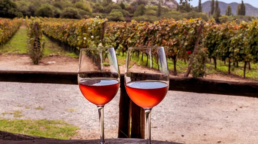 Argentina vinicola cafayate