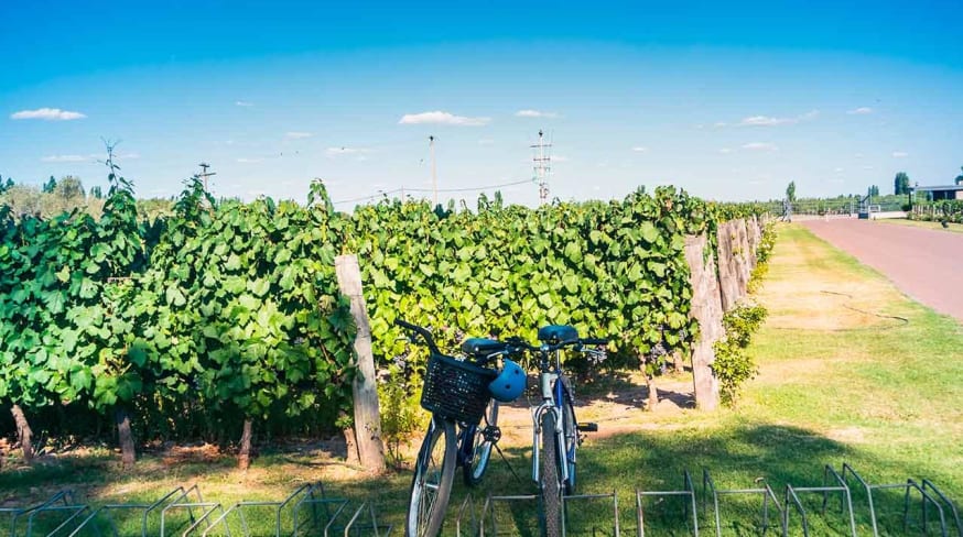 Bike tour at vineyards in the province of mendoza in argentina