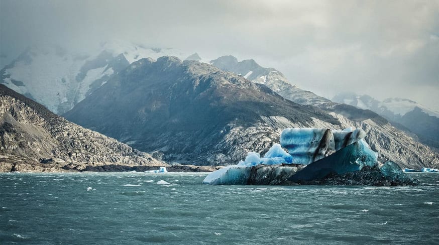 El calafate argentina