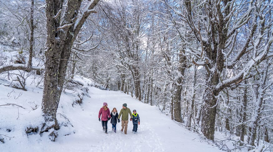 Família caminhando na Neve
