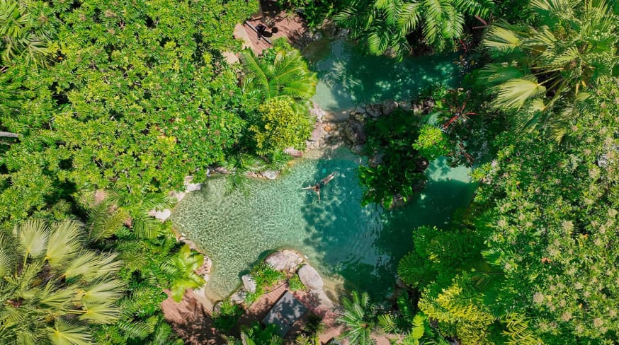 Silky oaks lodge australia the daintree swimming pool