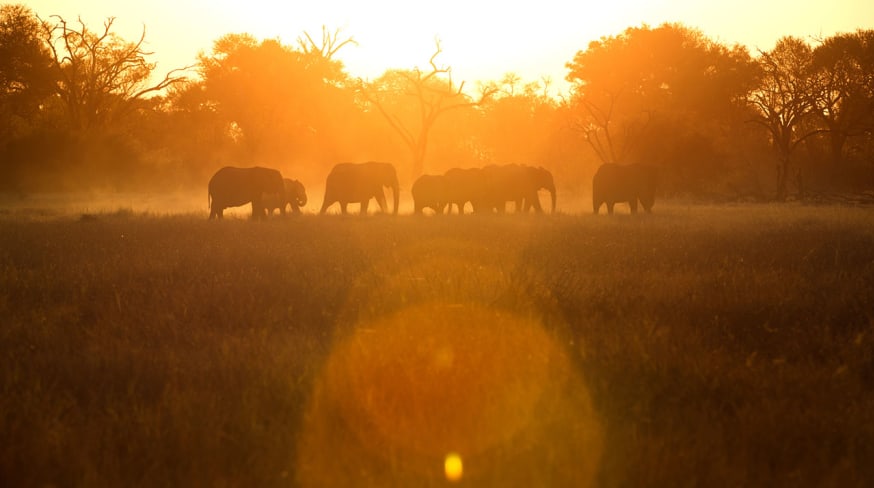 Botswana little machaba sunset