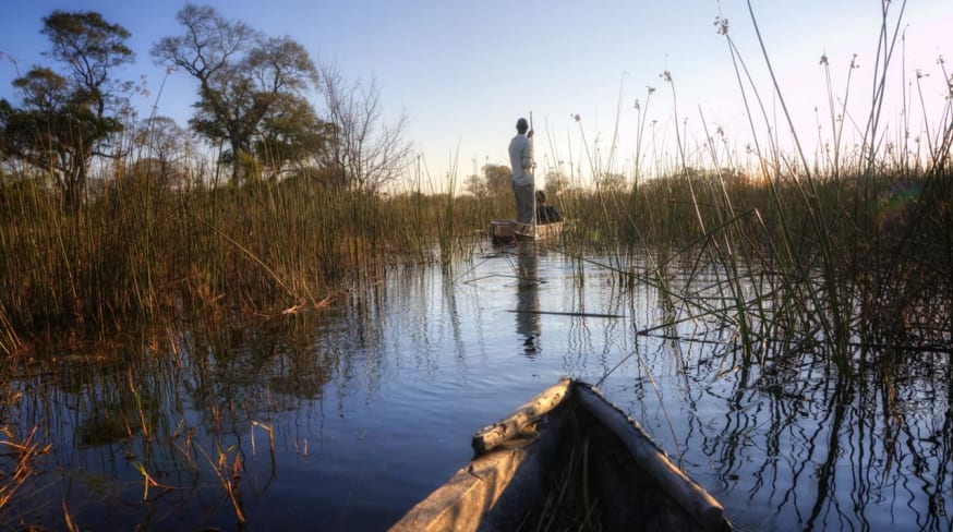 Safári Botswana Delta do Okavango