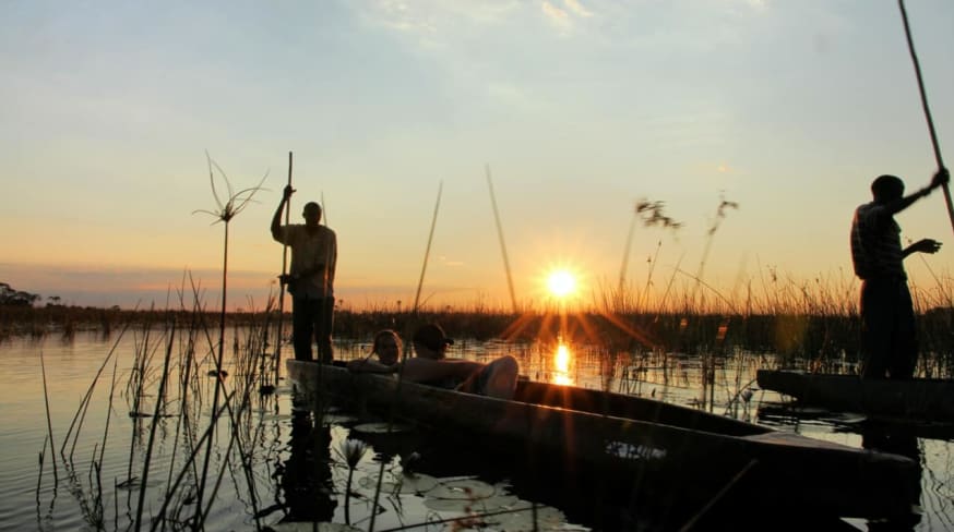 Safári Delta do Okavango Botswana