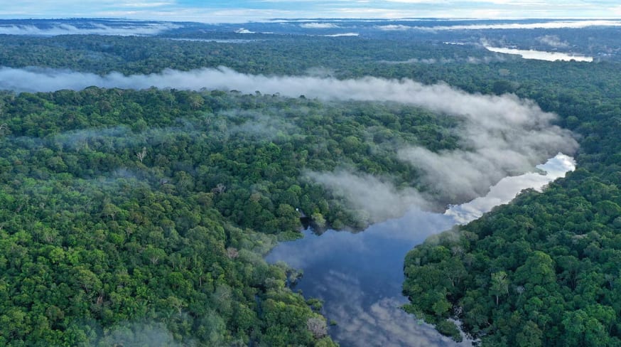 Amazon ecopark e