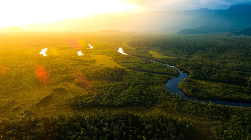 Amazonia vista aerea floresta