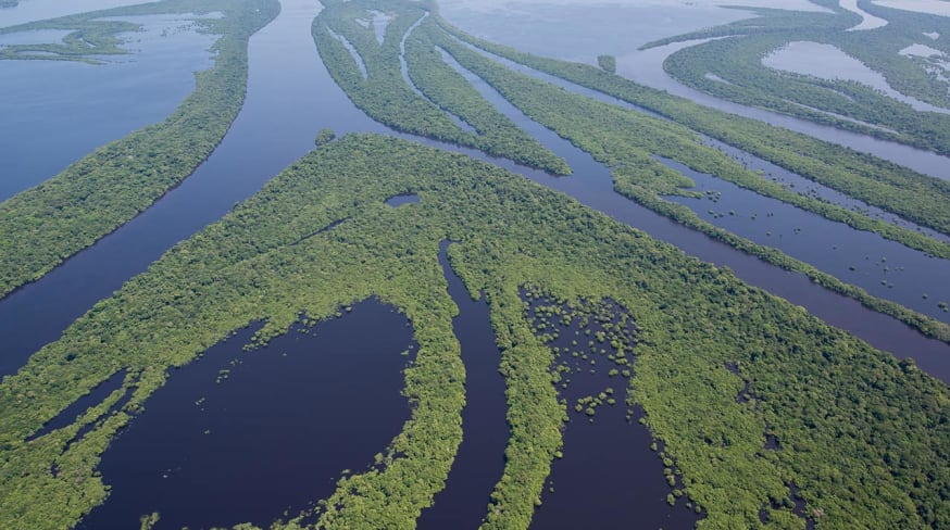 Anavilhanas jungle lodge vist aerea