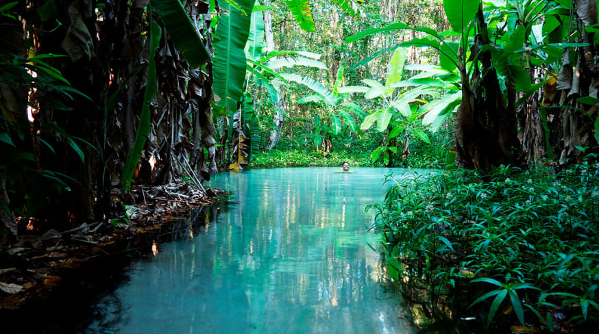 Brasil jalapao fervedouro tocantis agua nadar