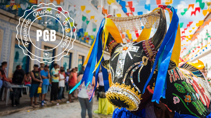 Foto pgb maranhao boi bumba
