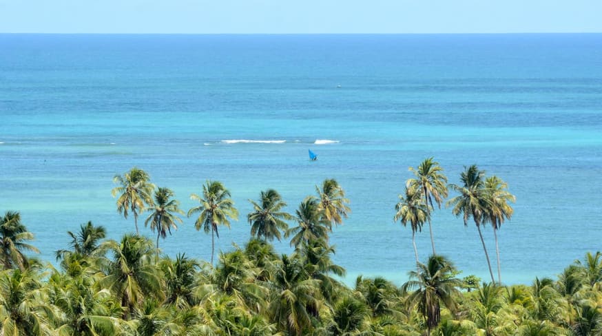 Mtur alagoas sao miguel dos milagres praia do toque mar marco ankosqui