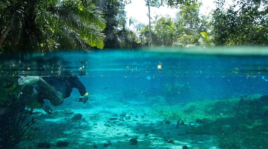 Mtur mato grosso do sul bonito nascente azul baixo dagua flavio andre
