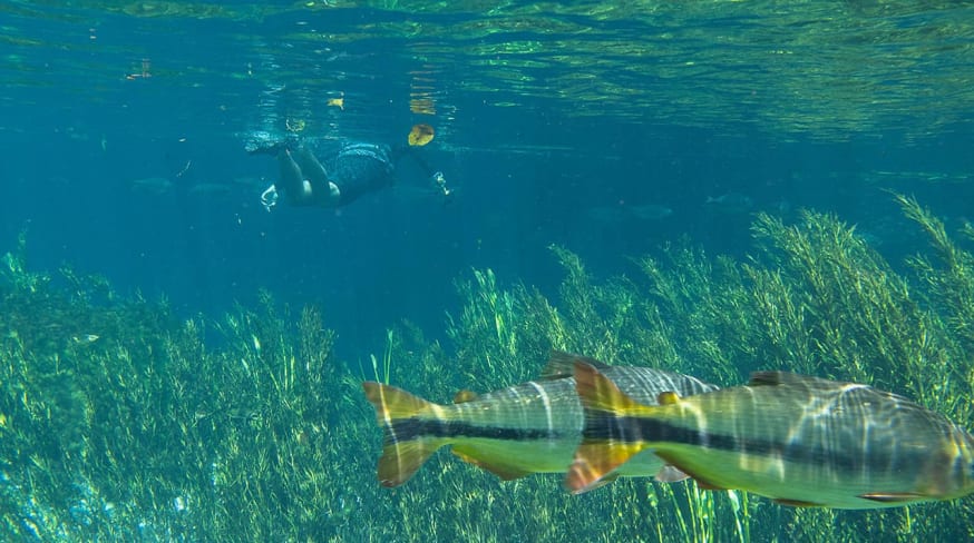 Mtur mato grosso do sul bonito nascente azul pessoa flavio andre