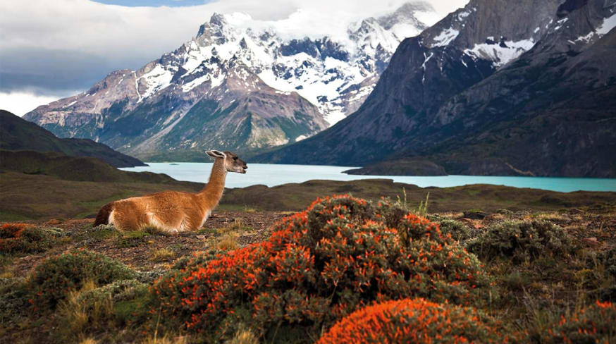 Chile_Parque puerto natales