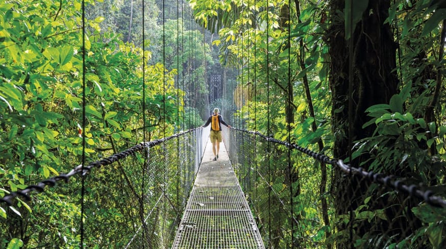 Costa rica selva tropical verde