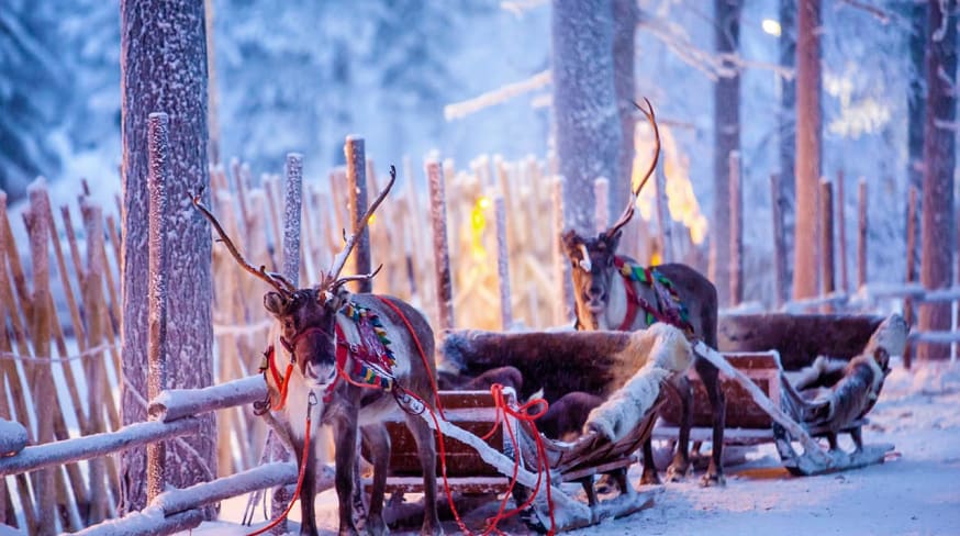 Finlandia rovaniemi neve renas